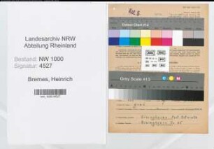 Entnazifizierung Heinrich Bremes, geb. 29.07.1904 (Kaufmann)