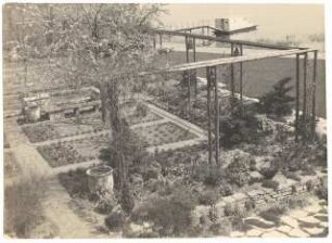 Garten Charell, Potsdam-Sacrow: Pflanzgarten, Pergola und Klinkerweg