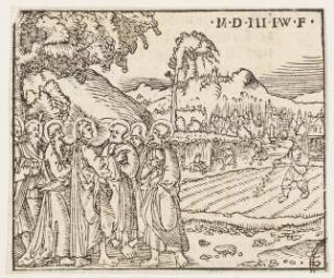 Das Gleichnis vom Sämann