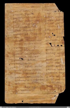 Glossarium Affatim (Fragment)