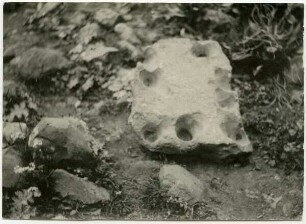 tell el kadi [tell al-kadi]