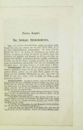 Drittes Kapitel. Das Zwickauer Steinkohlenbecken