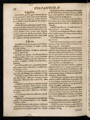 336-346, Lilium - Luminare