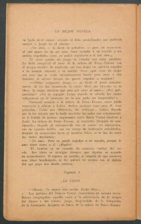Capítulo X - La caída
