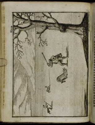 No. 12.