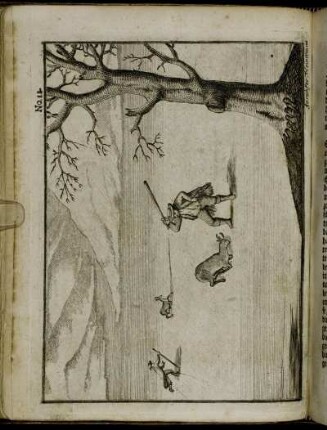 No. 12.
