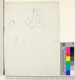 Armstudie, Hundekopf-Studie