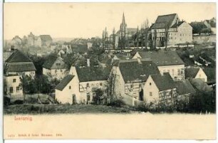 Leisnig. Blick über Leisnig