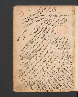 al- Badr al-munīr muḫtaṣar al-Ǧāmiʿ aṣ-ṣaġīr
