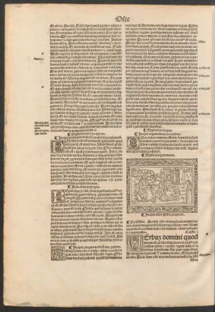 Incipit prologus in librum duodecim prophetarum.