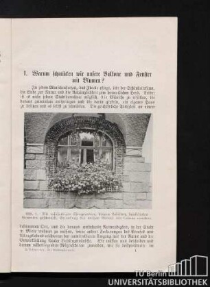1. Warum schmücken wir unsere Balkone und Fenster mit Blumen?