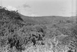 Landschaft : Blick über die Vegetation der Usambara-Berge.