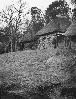 Japan. Bauernhäuser bei Misonoguchi (Misonoguchi-cho)