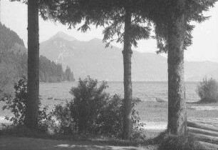 Walchensee: Straße am Walchensee mit Bäume im Vordergrund, mit Jochberg