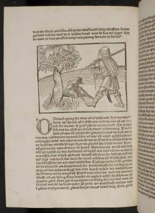 Die auf den Baum geflohene Katze, die Maus im Loch und der Jäger, der die abgebaute Falle über der Schulter trägt; (Kapitel VIII: Von der Katze und der Maus).