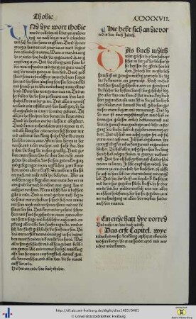 Das buch iudith