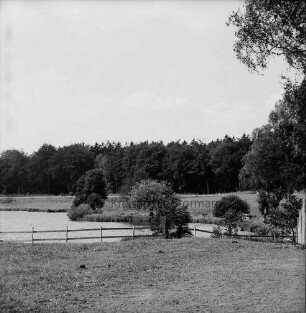 Tierpark Karnaphof: Teichlandschaft mit eingezäunten Gehegen: hinten Wald