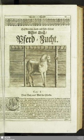 Deß Adelichen Land- und Feld-Lebens Achtes Buch, Pferd-Zucht