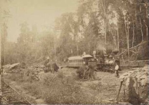 Eisenbahnbau im tropischen Urwalde, oberhalb Pesqueria