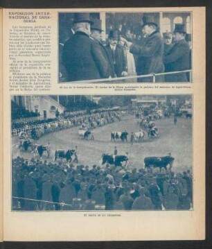 Exposición Internacional de Ganadería