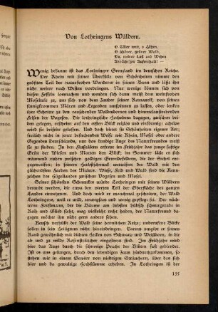 135-138, 3. Von Lothringens Wäldern