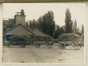 Foto eines Lastkraftwagens mit zwei Bauernwagen als Anhänger