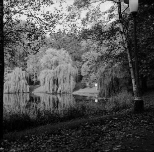 Kurpark: Salzteich mit Spiegelung der Bäume im Wasser: vorn Weg mit Blättern: rechts Straßenlampe: hinten Bäume
