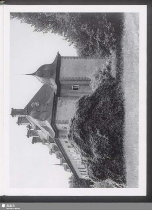 Hängebuche vor Schloss Erpernburg