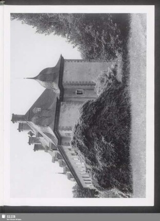Hängebuche vor Schloss Erpernburg