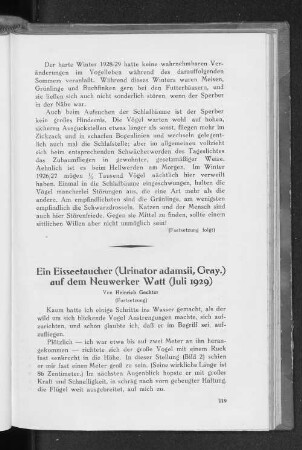 Ein Eistaucher (Urinator adamsii, Gray.) auf dem Neuwerker Watt (Juli 1929) : Fortsetzung