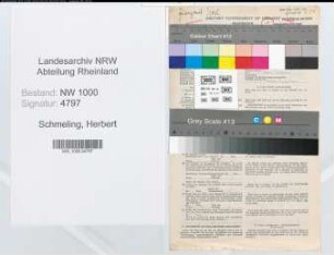 Entnazifizierung Herbert Schmeling, geb. 18.12.1916 (Finanzinspektor)