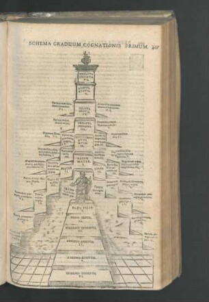 Schema Graduum Cognationis Primum.
