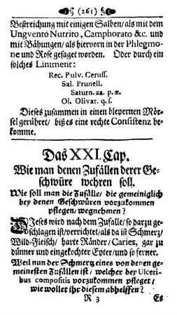 Das XXI. Cap. - Das XXIX. Capitel.