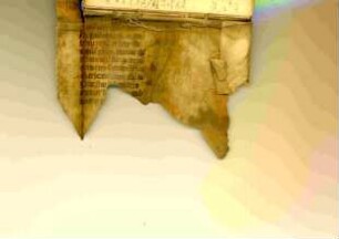 Liturgischer Text