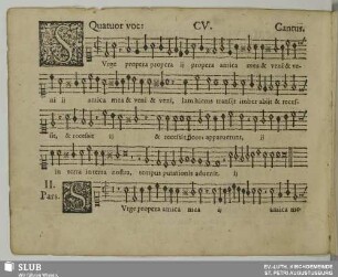 CV. Surge propera amica mea