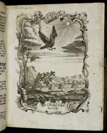 Tab. XVII. pag. 142.