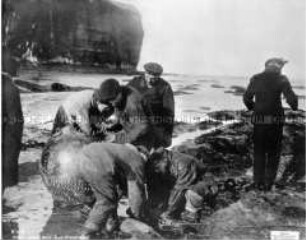 Am Strand von Helgoland angeschwemmte englische Minen
