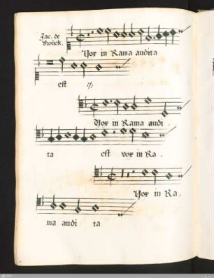 Vox in Rama