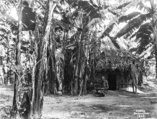 Dorf auf der Insel Ukerewe : Szenerie im Dorf Mkakas auf der Insel Ukerewe. Blick auf einen indigenen Mann aus Ostafrika vor einer Hütte.