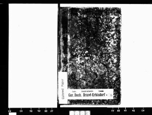 Hypothekenbuch von Mulda/Sa.