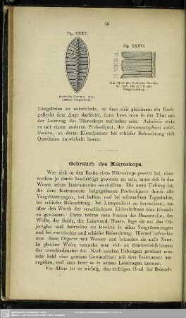 Gebrauch der Mikroskope