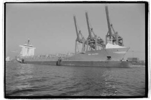 Sea Baltica