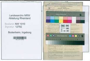 Entnazifizierung Ingeborg Bodenheim , geb. 05.08.1886 (Lehrerin)