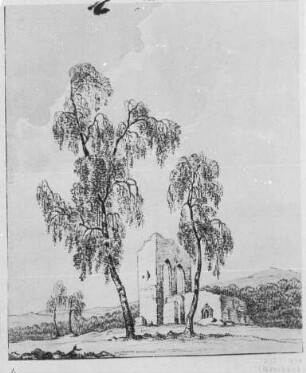 Gotische Ruine mit hohen Birken