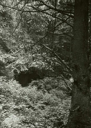 Osterzgebirge, Bergbaurevier Niederpöbel-Sadisdorf, Hilfe Gottes Fundgrube, Kieszug-Stollenmundloch