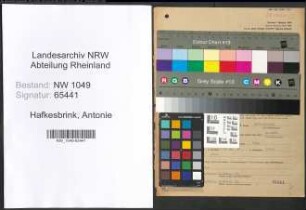 Entnazifizierung Antonie Hafkesbrink , geb. 15.10.1915 (Kaufmaennische Angestellte)