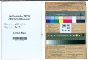 Entnazifizierung Max Schad , geb. 03.10.1895 (Kohlenhaendler)