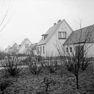 Neubausiedlung: Einfamilienhäuser: vorn Garten mit Sträuchern