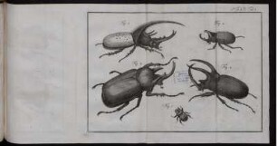 Tab. 1 [bis] Tab. 22 [siehe Paginierung]