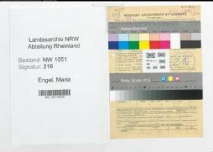 Entnazifizierung Maria Engel , geb. 06.11.1899 ()